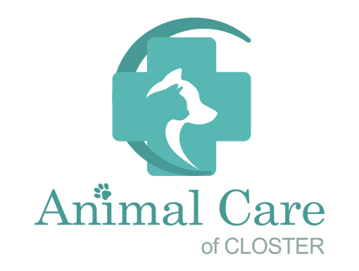 Animal Care of Closter